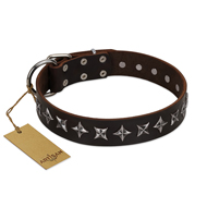 "Stars of Glory" FDT Artisan Brown Leather Swiss Mountain Dog Collar for Comfortable Walking