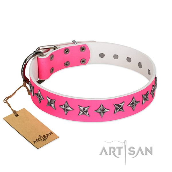Top quality full grain leather dog collar with trendy adornments