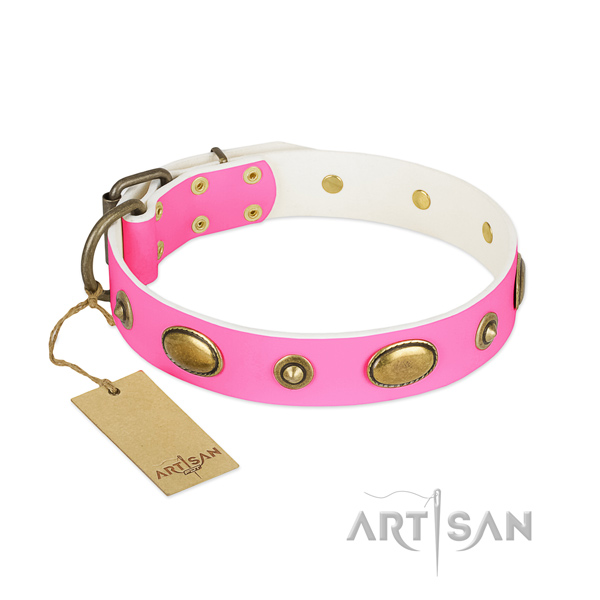 Awesome full grain natural leather collar for your canine