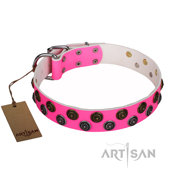 Basic training dog collar of reliable full grain genuine leather with embellishments