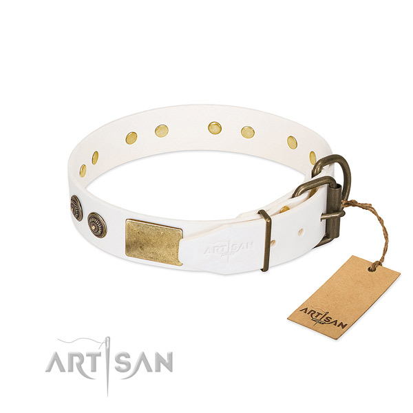 Rust-proof hardware on natural genuine leather collar for walking your pet