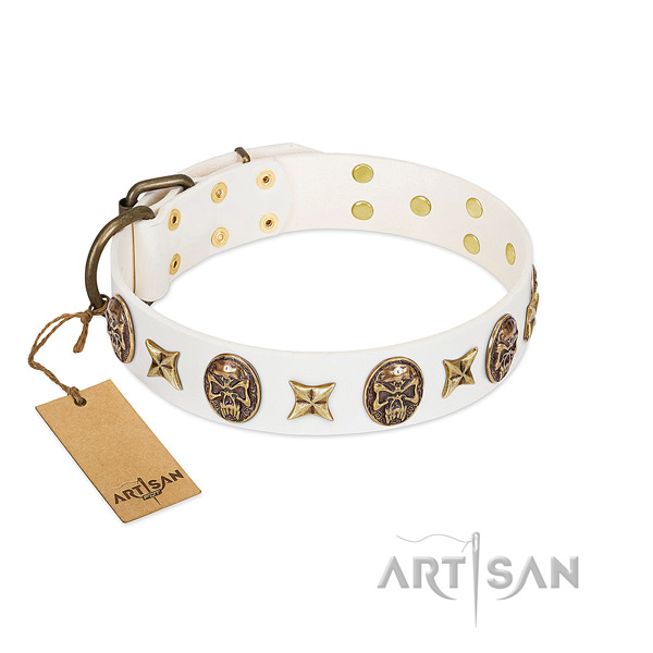 Stylish natural genuine leather dog collar for everyday walking