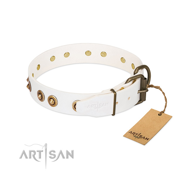 Rust resistant embellishments on leather dog collar for your dog