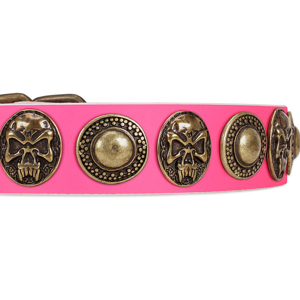 Rust resistant adornments on full grain leather dog collar for your four-legged friend