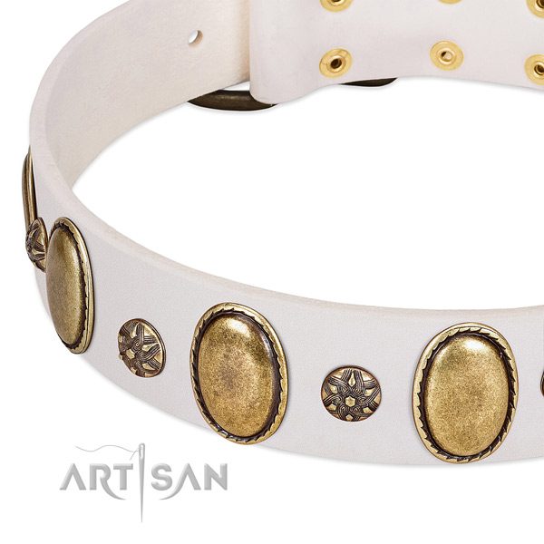 Daily use reliable natural genuine leather dog collar