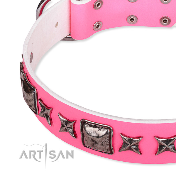 Fancy walking adorned dog collar of strong full grain natural leather