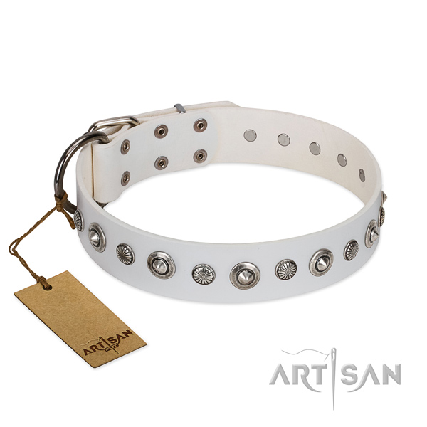 Finest quality genuine leather dog collar with stylish studs