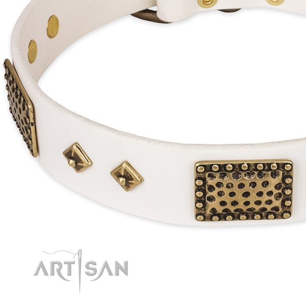 Rust-proof adornments on genuine leather dog collar for your doggie