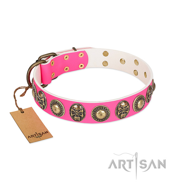 Easy to adjust leather dog collar for daily walking your doggie