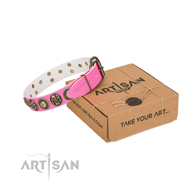 Corrosion resistant adornments on dog collar for everyday use
