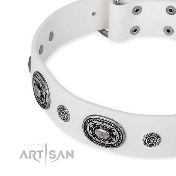 Reliable full grain genuine leather dog collar crafted for your beautiful doggie