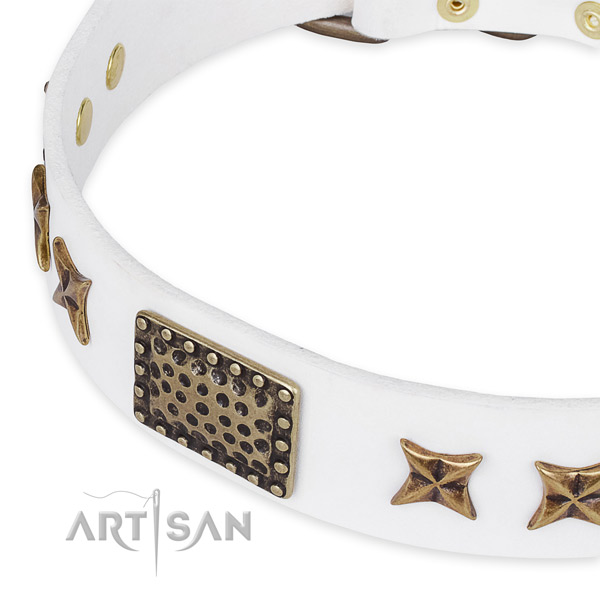 Full grain natural leather collar with durable traditional buckle for your beautiful canine