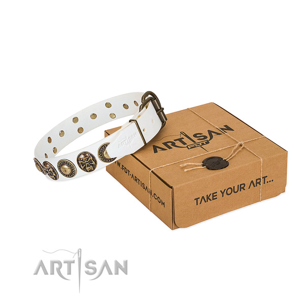 Corrosion resistant adornments on dog collar for stylish walking