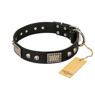 "Pirates Gold" FDT Artisan Black Leather Swiss Mountain Dog Collar with Old Silver Look Plates and Skulls