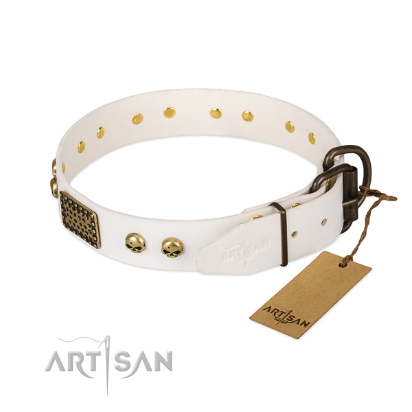 Easy wearing full grain leather dog collar for everyday walking your canine