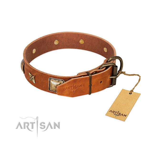 Full grain leather dog collar with reliable fittings and studs