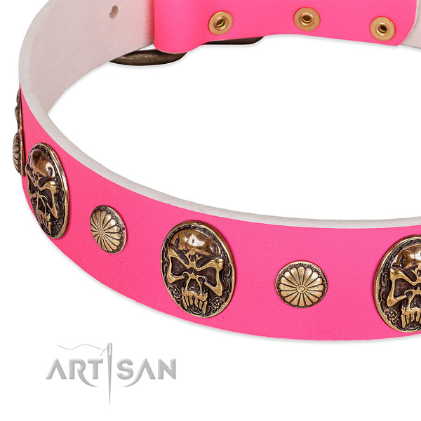 Reliable hardware on genuine leather dog collar for your four-legged friend