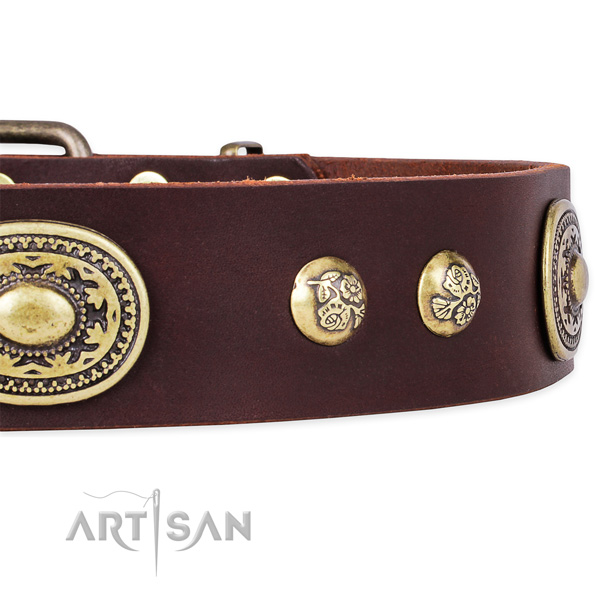 Trendy genuine leather collar for your attractive four-legged friend