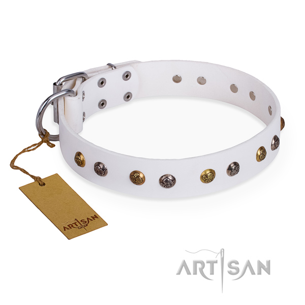 Daily walking comfortable dog collar with rust resistant fittings