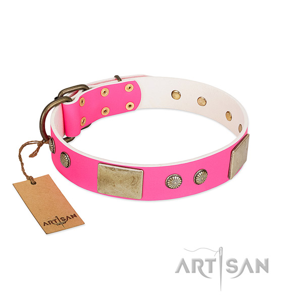 Easy wearing full grain genuine leather dog collar for daily walking your dog