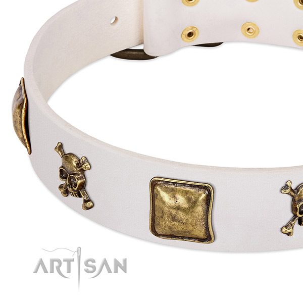 Everyday walking natural leather dog collar with stylish studs