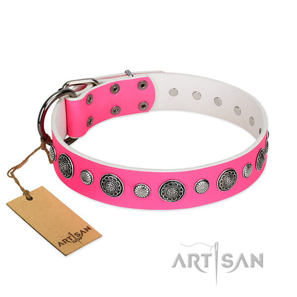 Quality leather dog collar with corrosion resistant traditional buckle