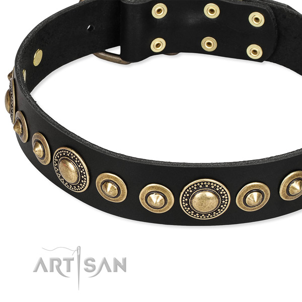 High quality full grain genuine leather dog collar crafted for your stylish pet