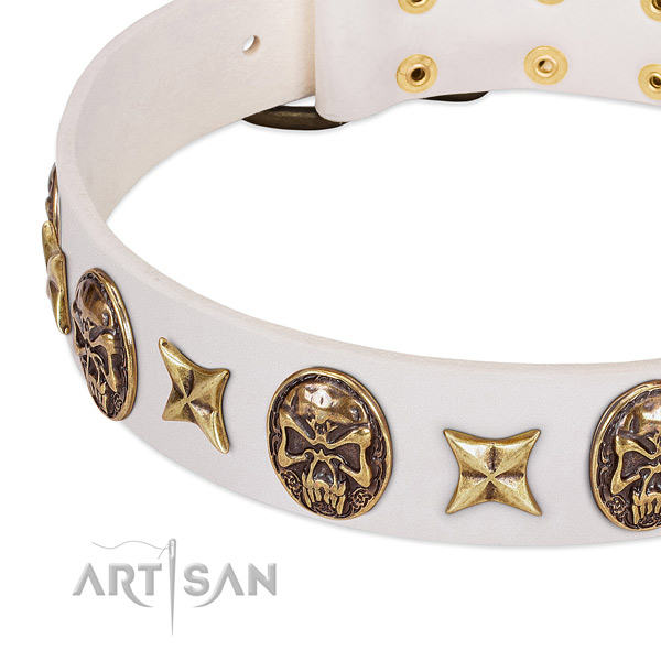 Full grain genuine leather dog collar with corrosion proof fittings