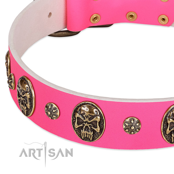 Top quality dog collar created for your stylish four-legged friend