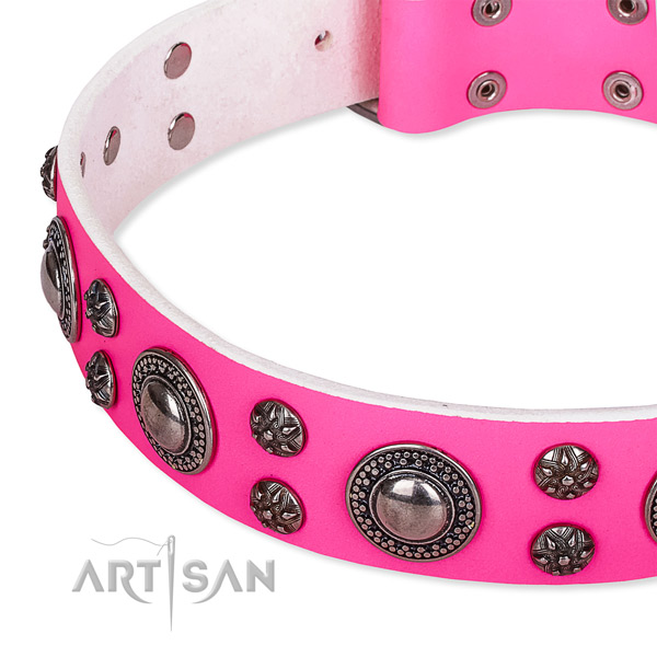 Basic training studded dog collar of top notch leather