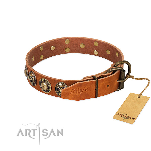 Durable D-ring on daily use dog collar