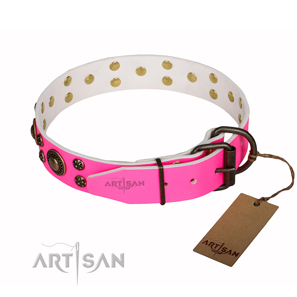 Daily use studded dog collar of strong genuine leather