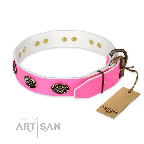 Rust-proof traditional buckle on basic training dog collar