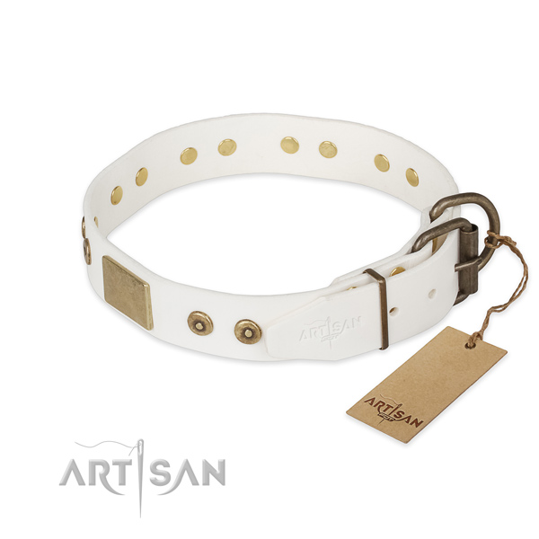 Durable buckle on full grain natural leather collar for walking your canine