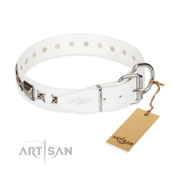 Top notch adorned dog collar of genuine leather