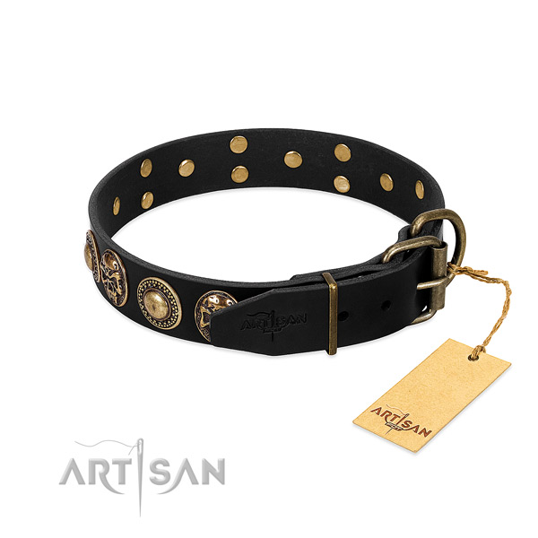 Reliable embellishments on comfortable wearing dog collar