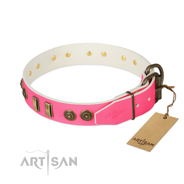 Corrosion resistant adornments on natural leather dog collar for your canine
