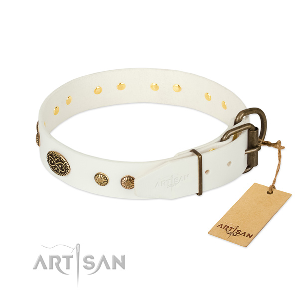 Rust-proof adornments on full grain natural leather dog collar for your canine