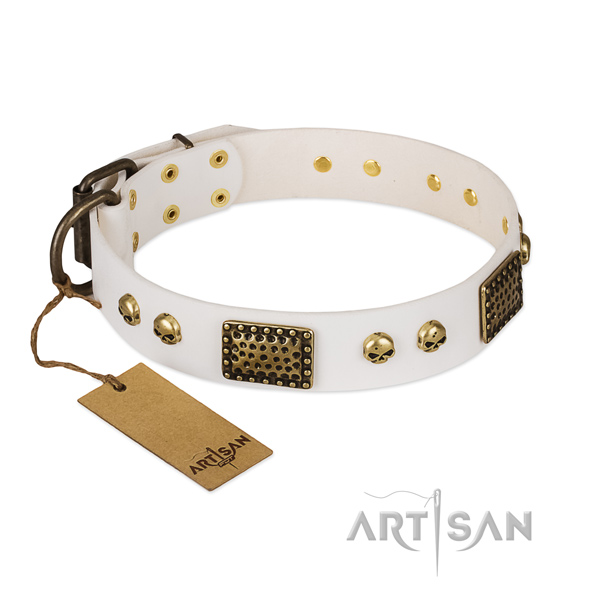 Rust-proof hardware on handy use dog collar