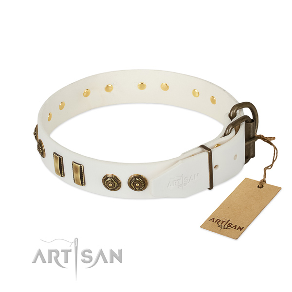 Corrosion proof traditional buckle on full grain leather dog collar for your four-legged friend