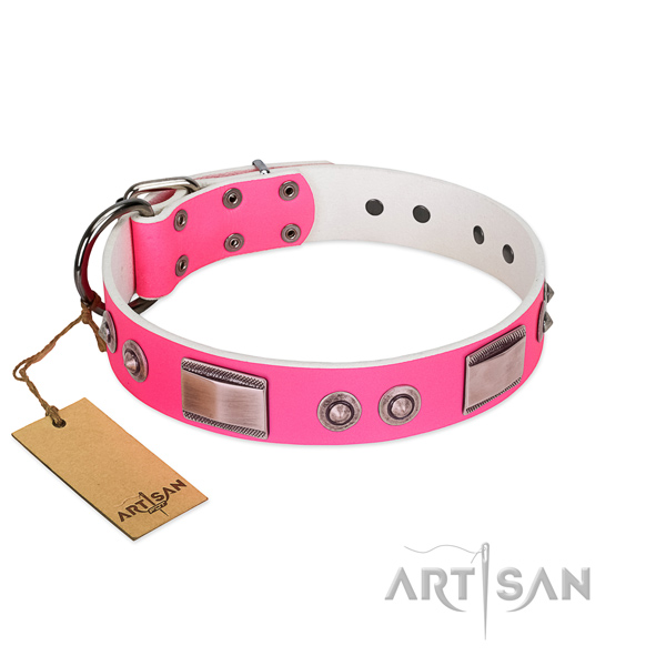 Easy adjustable dog collar of natural leather with adornments
