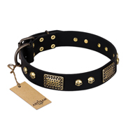 "Biker Style" FDT Artisan Black Leather Swiss Mountain Dog Collar with Old Bronze Look Plates and Skulls
