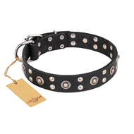 "Refined Essence" FDT Artisan Black Leather Swiss Mountain Dog Collar with Silvery Studs