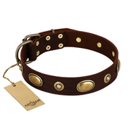 "Hebe's Jewel" FDT Artisan Brown Genuine Leather Swiss Mountain Dog Collar