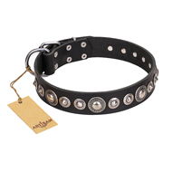 "Strict Elegance" FDT Artisan Black Leather Swiss Mountain Dog Collar with Decorations
