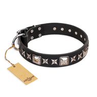 "Space Walk" FDT Artisan Black Leather Swiss Mountain Dog Collar with Adornments
