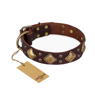 "Golden Square" FDT Artisan Brown Leather Swiss Mountain Dog Collar with Large Squares