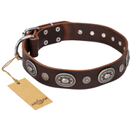 "Extra Pizzazz" FDT Artisan Adorned Brown Leather Swiss Mountain Dog Collar