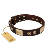 "Sense of Freedom" FDT Artisan Brown Leather Swiss Mountain Dog Collar with Old Bronze-Plated Studs and Plates