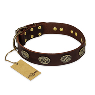 "Chocolate kiss" FDT Artisan Leather Swiss Mountain Dog Collar with Old Bronze Look Oval Plates